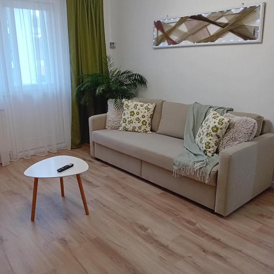 Appartamento Harmonyhouse Braşov Esterno foto