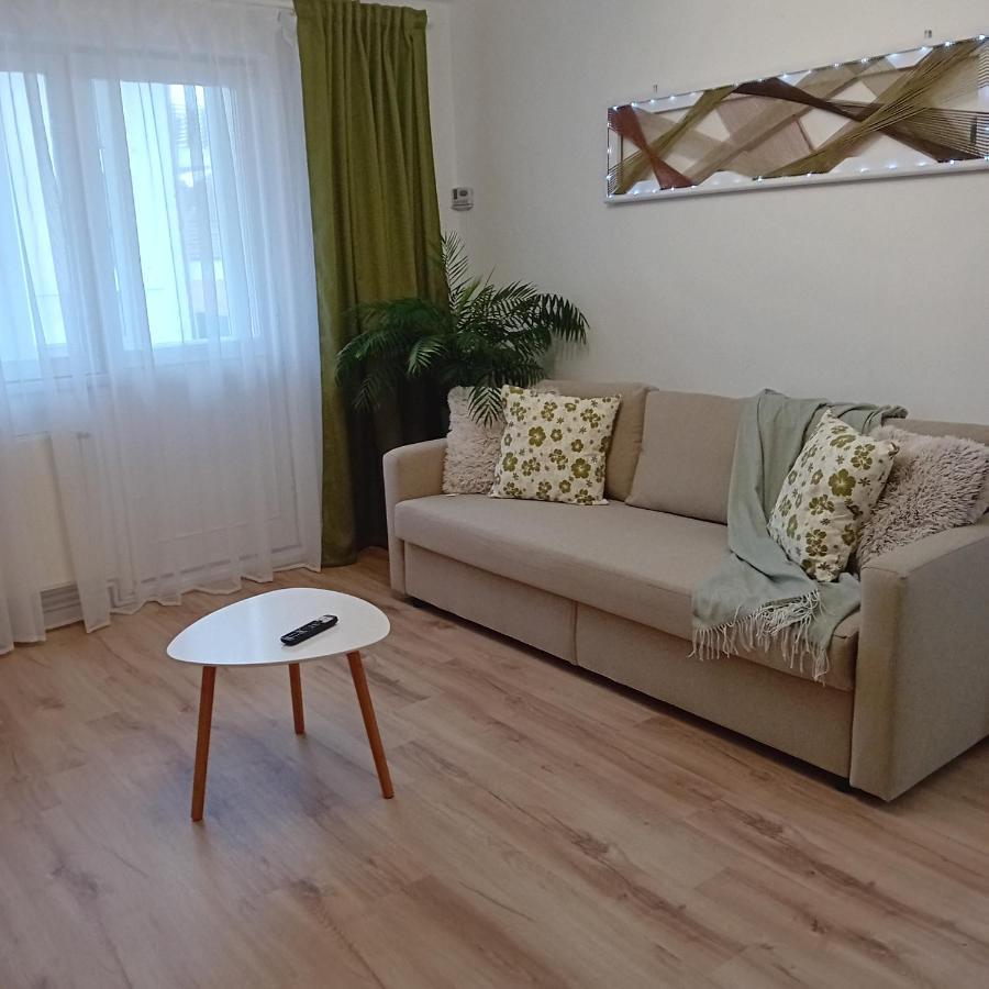 Appartamento Harmonyhouse Braşov Esterno foto