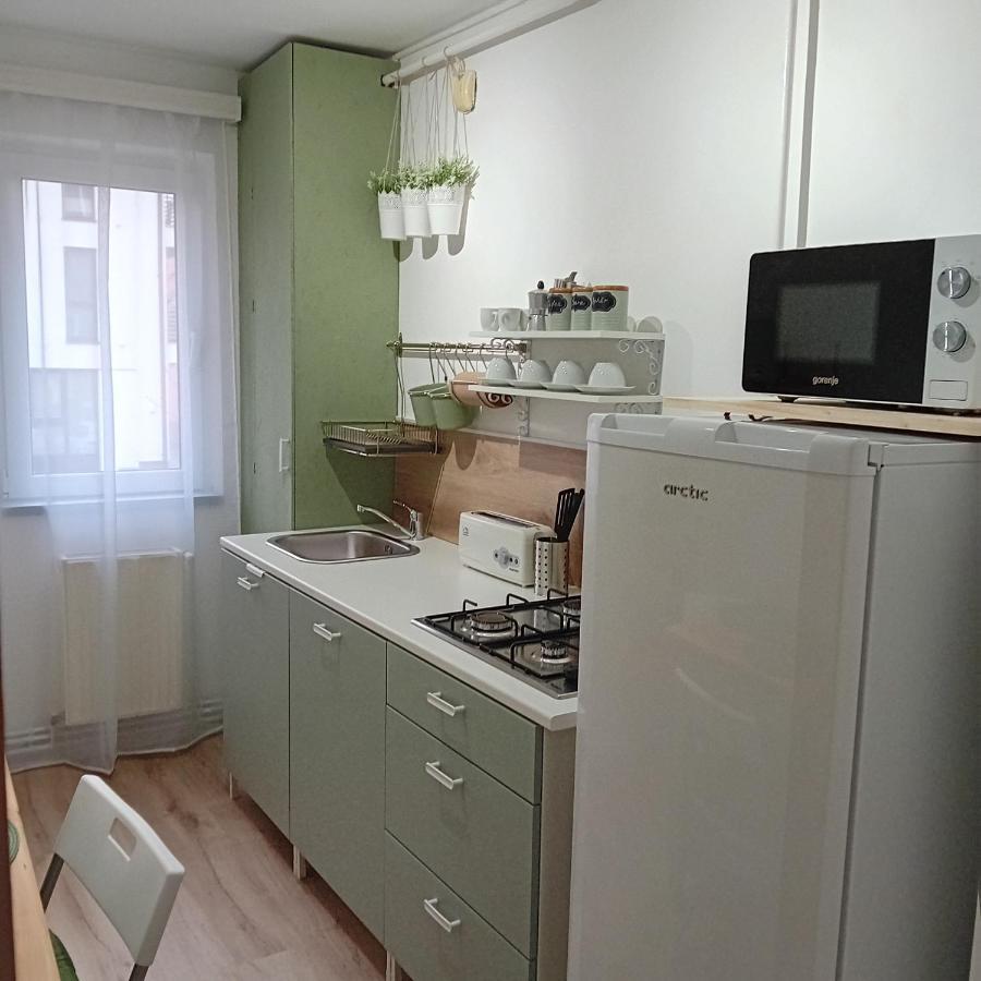 Appartamento Harmonyhouse Braşov Esterno foto